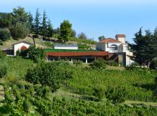 Elena Fucci Winery